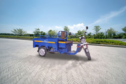 Divya Enterprises Electric Rickshaw Loader Electric/Cargo