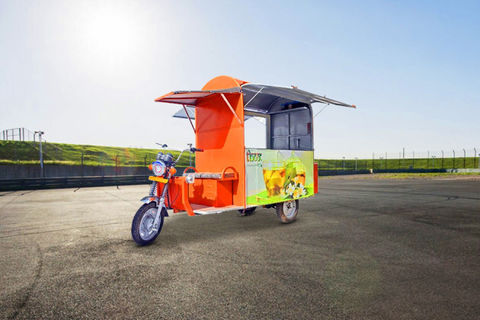 Gayatri Electric Dabang E-Food Cart Electric/Cargo