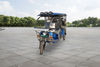 Gkon Stainless Steel Battery Operated Rickshaw