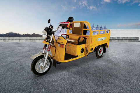 GreenRick E-Cart Electric/Cargo