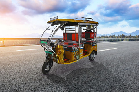 Ronak Auto SS 4 Seater/Electric