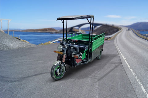 SN Solar Energy  E Rickshaw Loader Electric