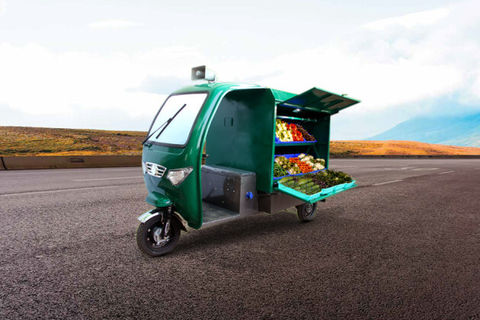 Tejas Fruit Cart Electric/Cargo