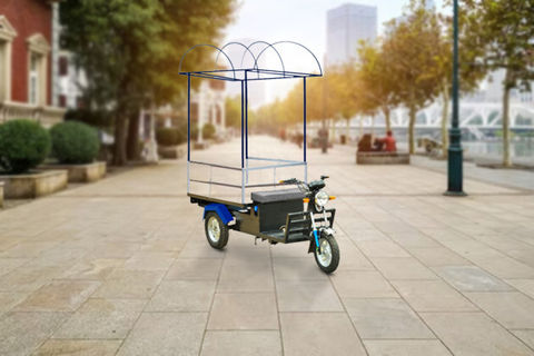 Tejas Ice-Cream Cart Electric/Cargo