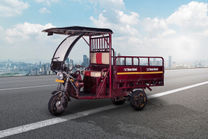 Top Team Machines E-Cart Cargo